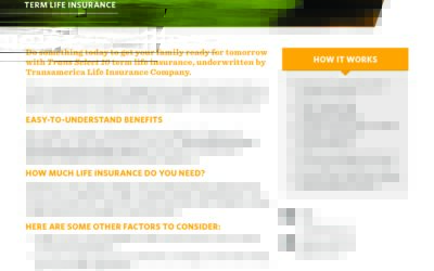 Term Life Insurance (10y)- Transamerica